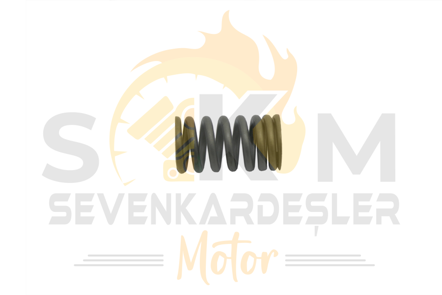 Cf Moto Sd 650-S (Efi) / ( Nk650 Abs) Supap Yayı Orijinal