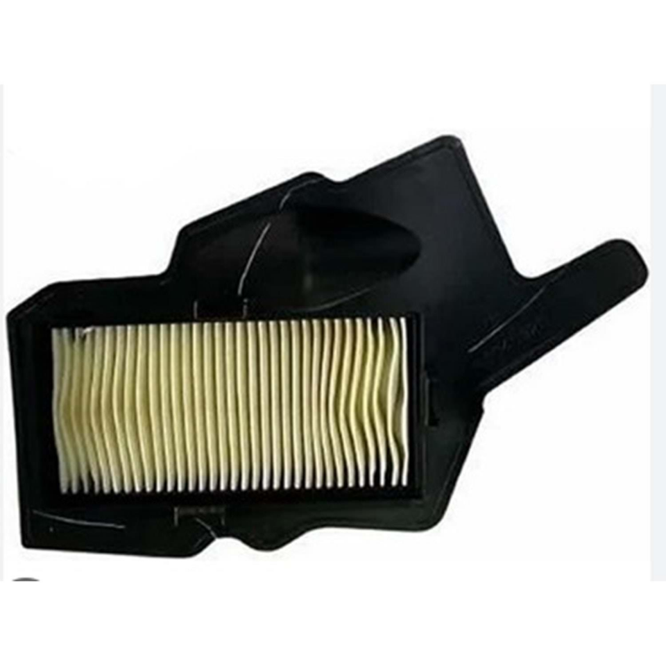 Tvs Hava Filtre Elemanı Raider 125
