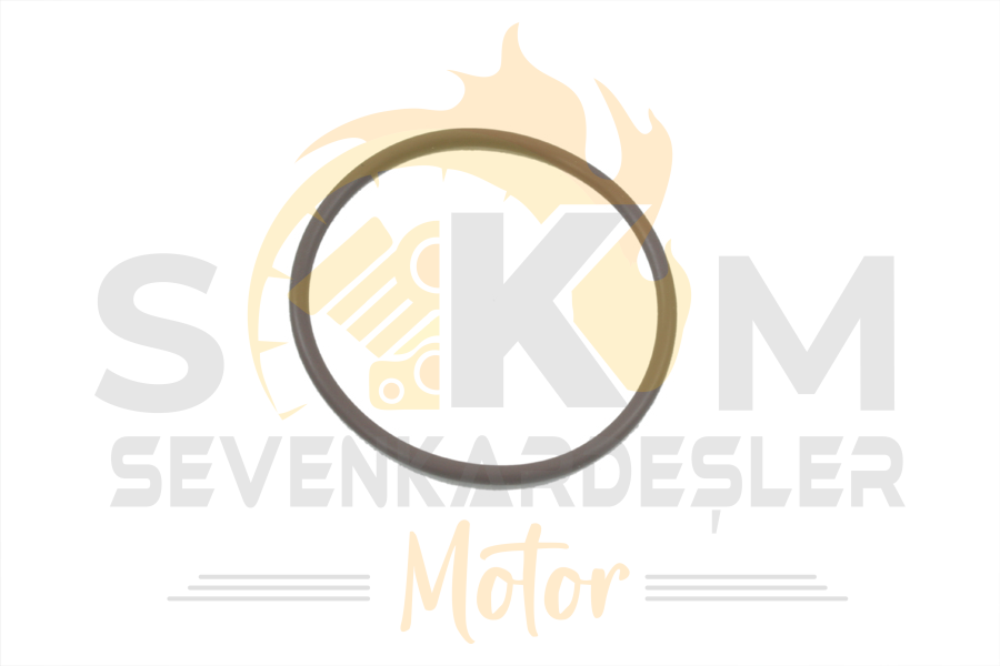 650Mt Euro 4 Abs O-Rıng 44.5X2.5 Orijinal
