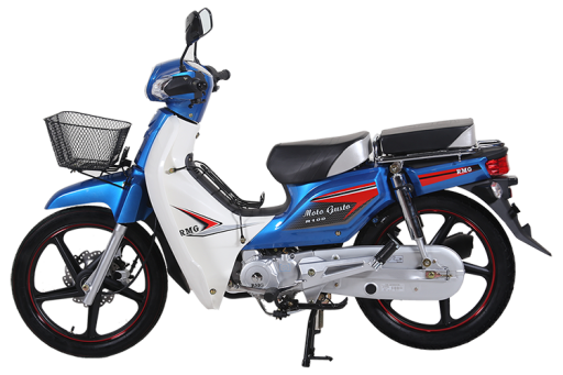 R 100