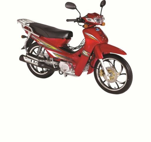 ROADSTAR CUB 100
