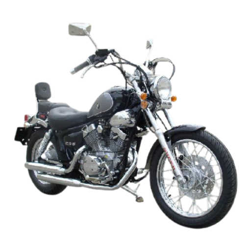 ROADSTAR 250