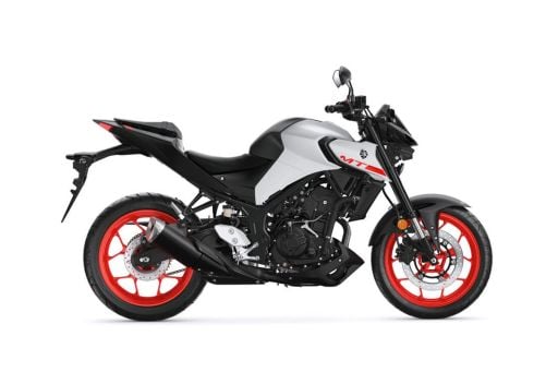 MT25