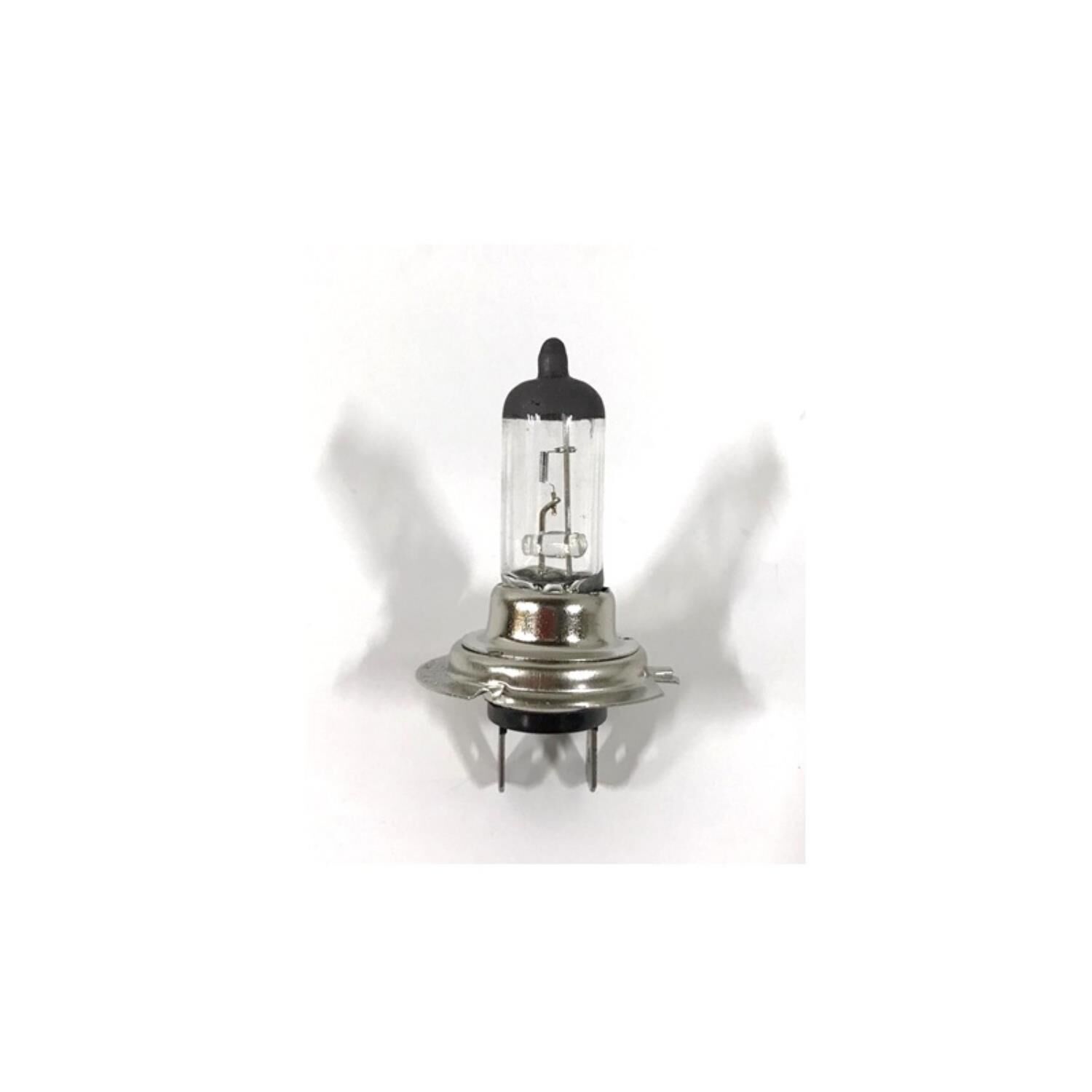12V 55W H7 Ampül