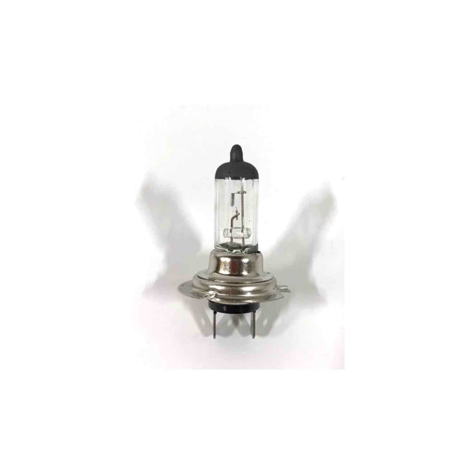 12V 55W H7 Ampül