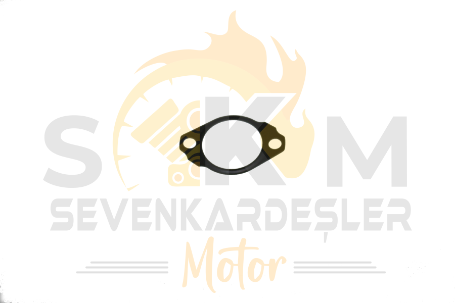 Mondıal Z-One İ Lıfter Tansıyoner Contası Orijinal