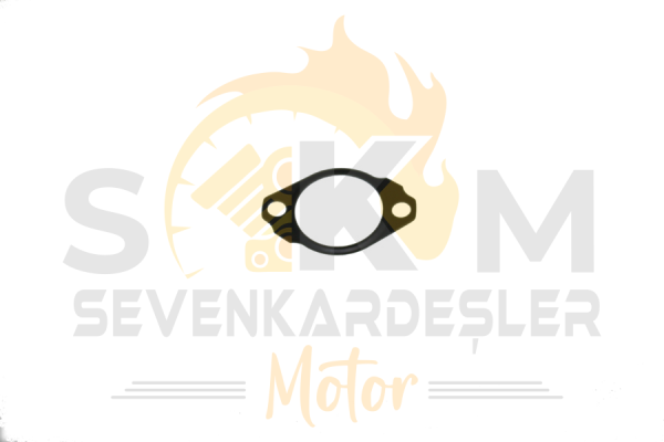 Mondıal Z-One İ Lıfter Tansıyoner Contası Orijinal