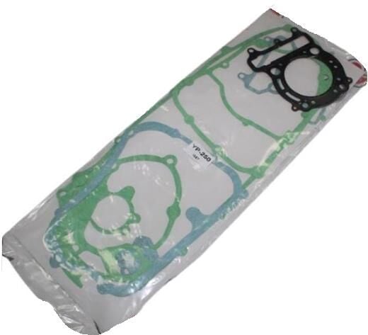 Yamaha Takım Conta X Max 250