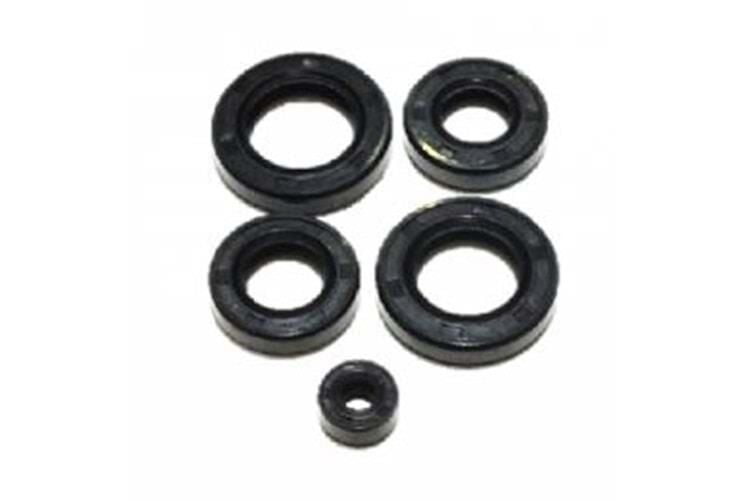 Keçe Takımı ( 5 Li ) Cg