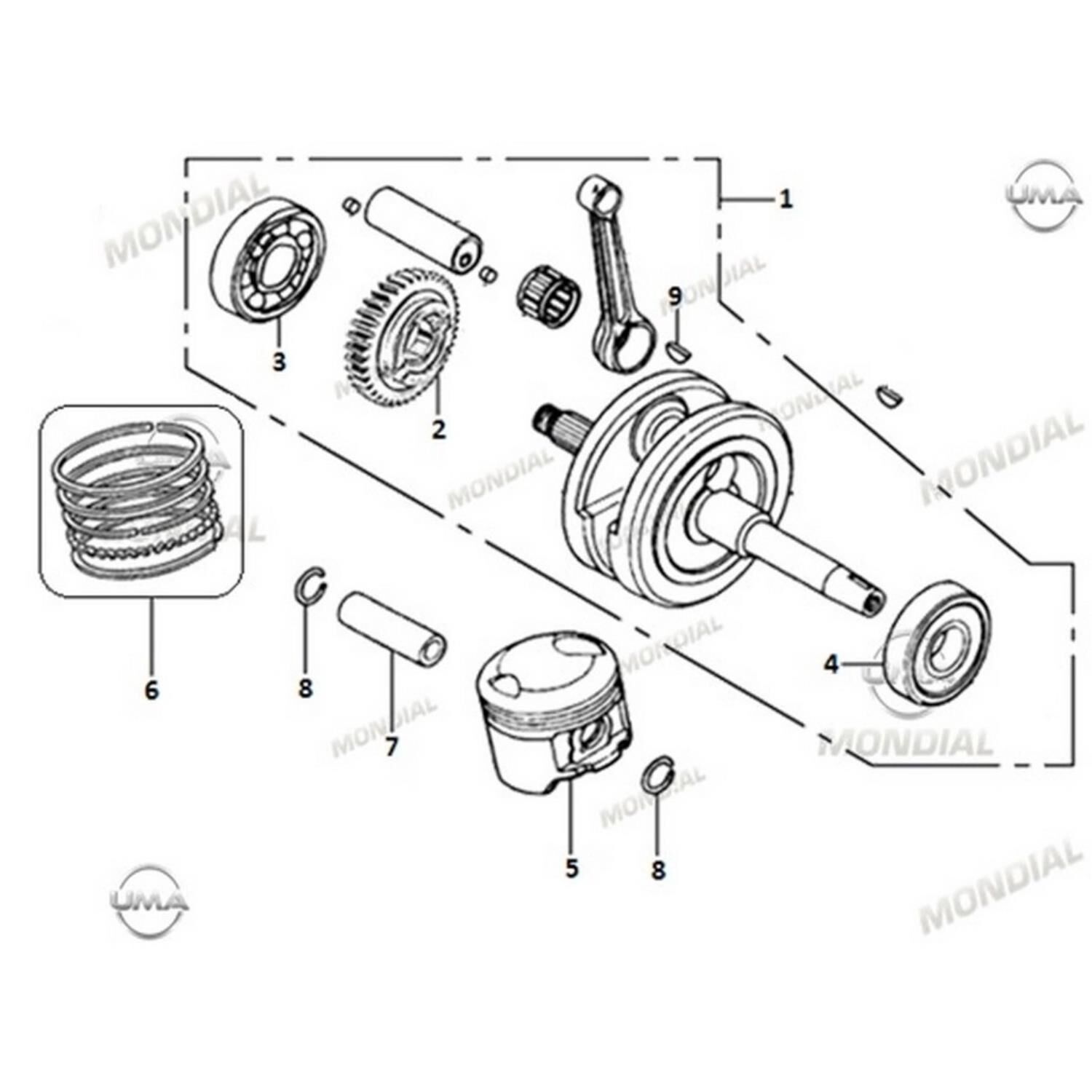 Mondial Ucg 110 Krank Orj