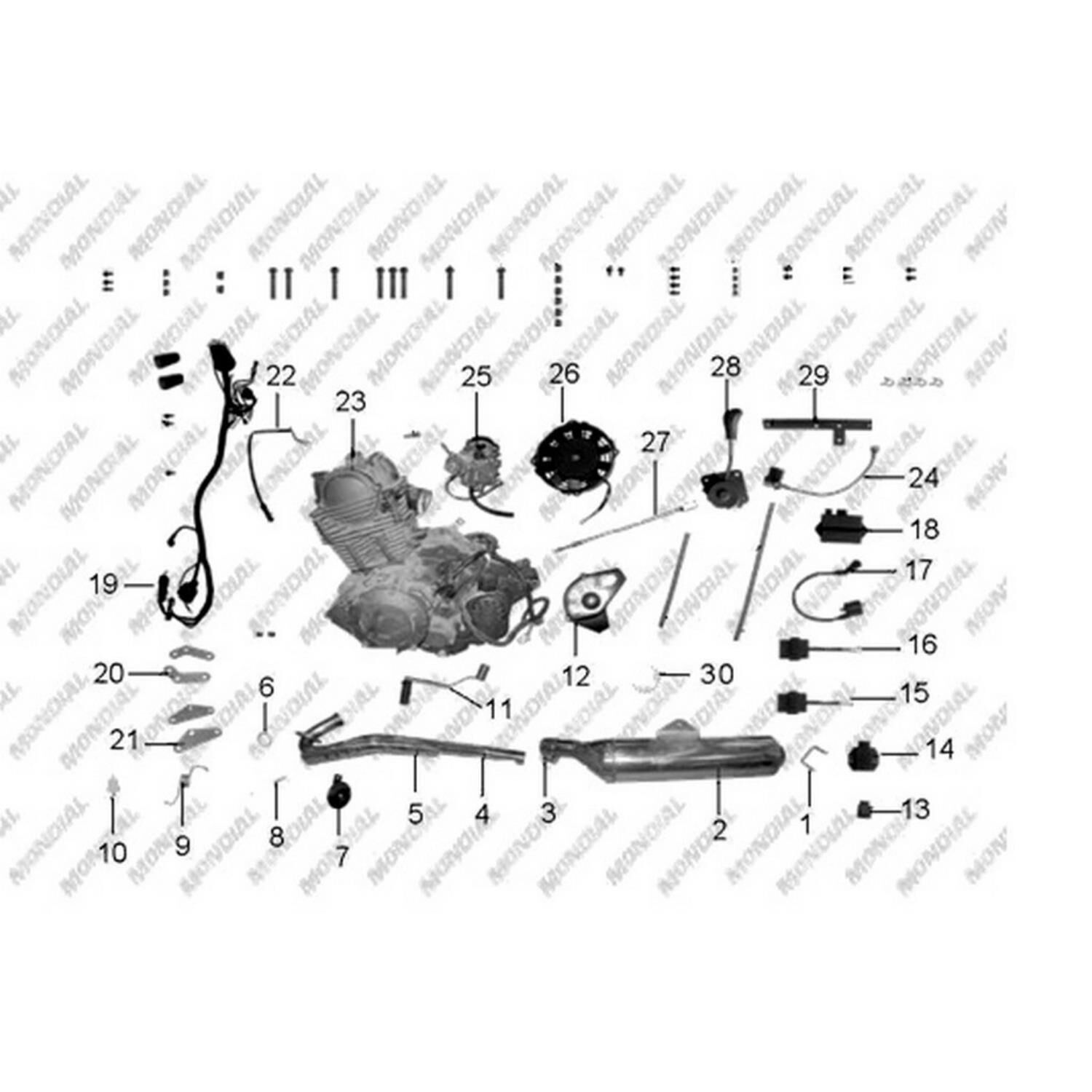Mondial 350 Safarı Lıon Ön Dişli 520-15T İç 25 Mm Orj