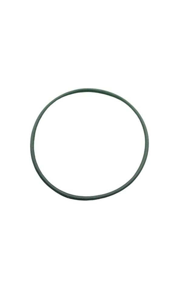 Roadstar 250 O-Ring 79-2,9