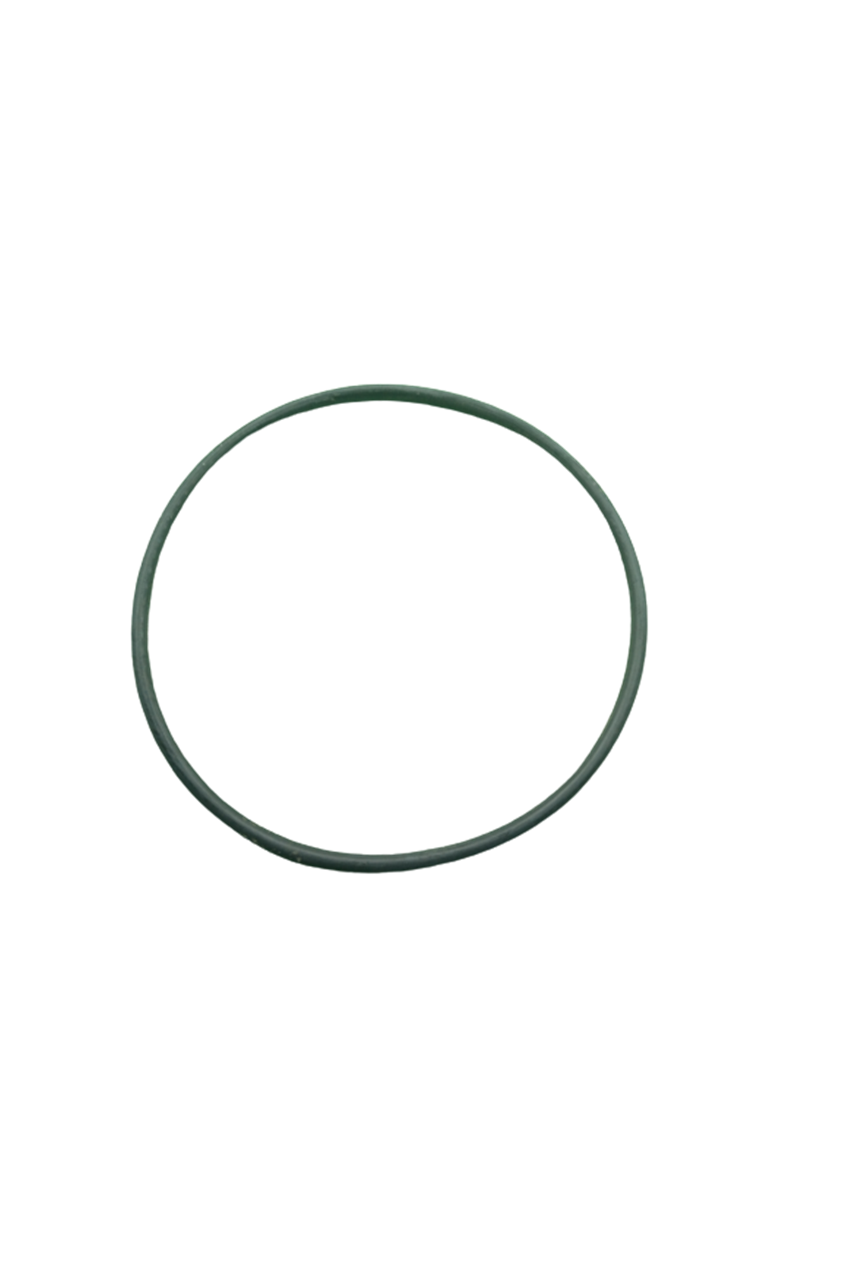 Roadstar 250 O-Ring 79-2,9
