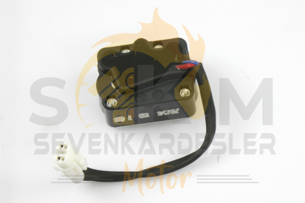 Cf Moto Sd 650-S (Efi) / ( Nk650 Abs) Guvenlık Stop Musuru Orijinal