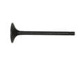 Mondial 150Kn-Mr-Mc Emme Sibop Orj