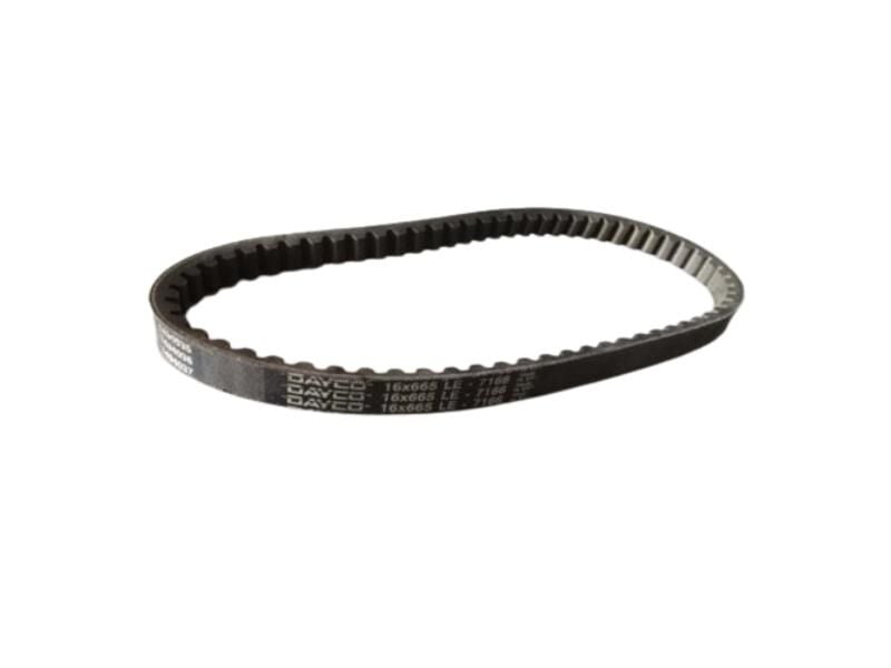 16 665 Kayış Dayco