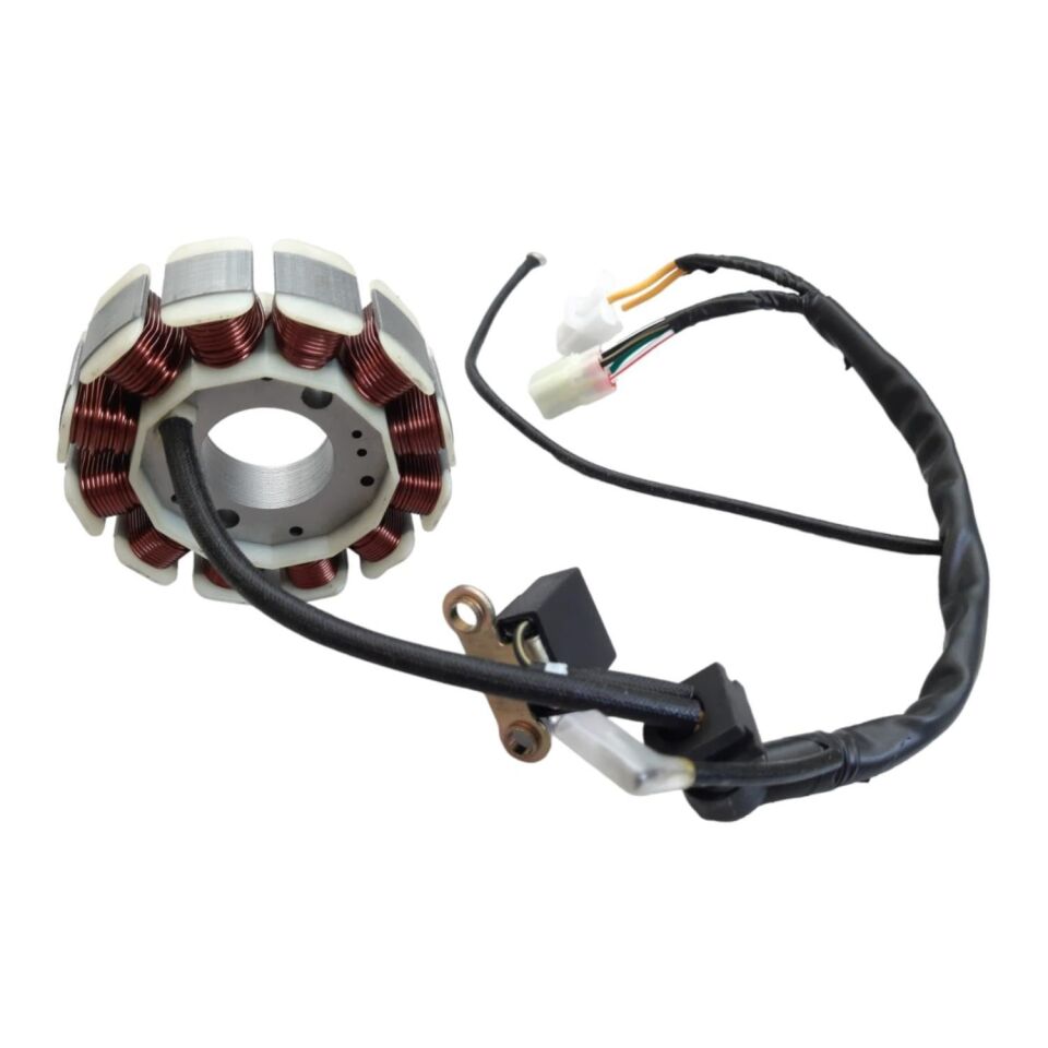 Bajaj Pulsar Ns150 As150 Statör 12 Li (6 Kablo) 29-84-30 Mm 2D 6K