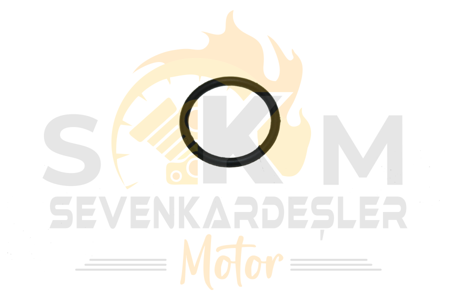 Cf Moto Jetmax O-Rıng 24×2.5 Orijinal