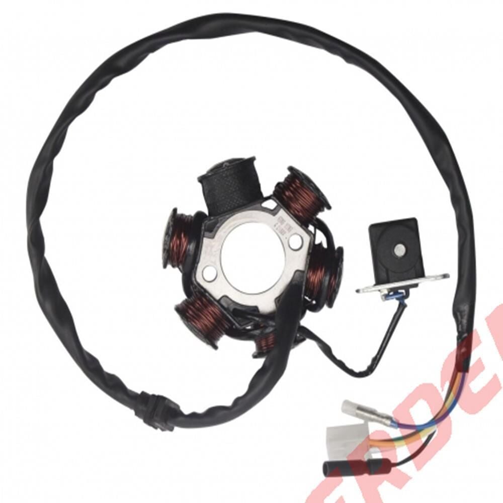 125Mt Statör Komple 6 Lı