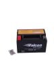 Falcon Freedom 250 12-v 7 Ahr (ytx7a-bs) Yatık Kuru Akü (scoteer) Orjinal