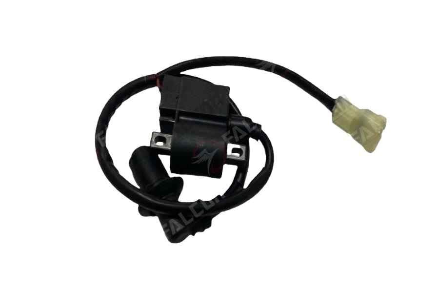 Dolphın 100-125 Efi Ateşleme Bobini