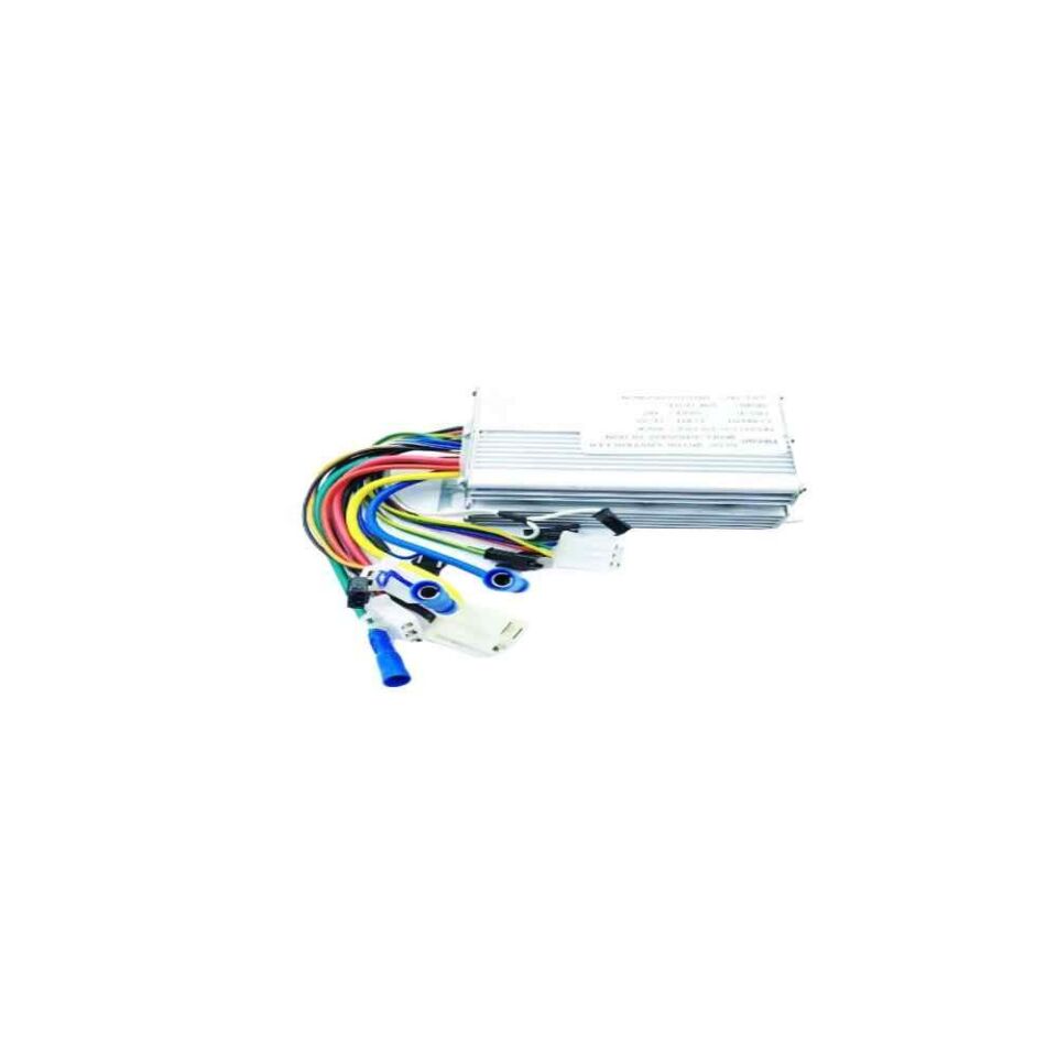 Asya E-Bis 250W Hız Kontrol Cihazı
