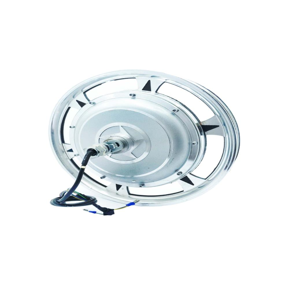 Asya E-bis 250w Arka Jant Motor