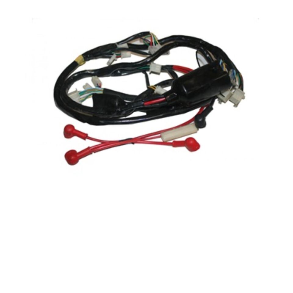 Elektrik Tesisatı Revival 50 Cc