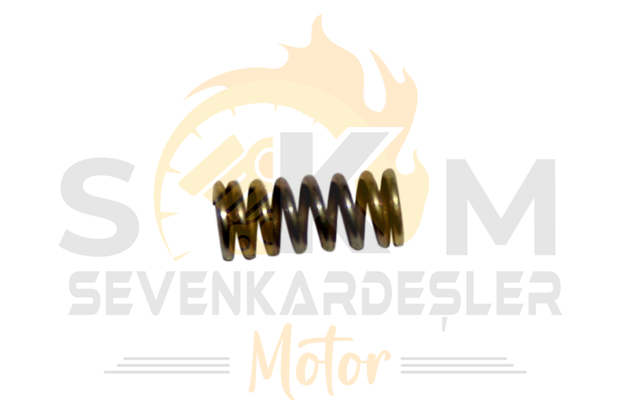 Mondıal 125Mx (Grumble) Vıtes Musur Yayı Orijinal