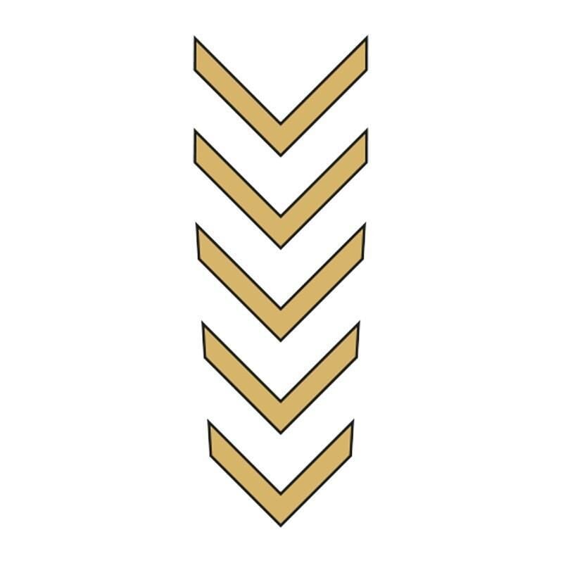 Cg Gold Çamurluk Üst Sticker