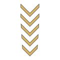 Cg Gold Çamurluk Üst Sticker
