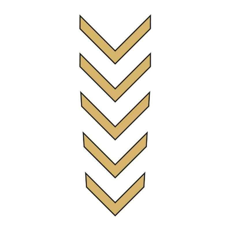 Cg Gold Çamurluk Üst Sticker