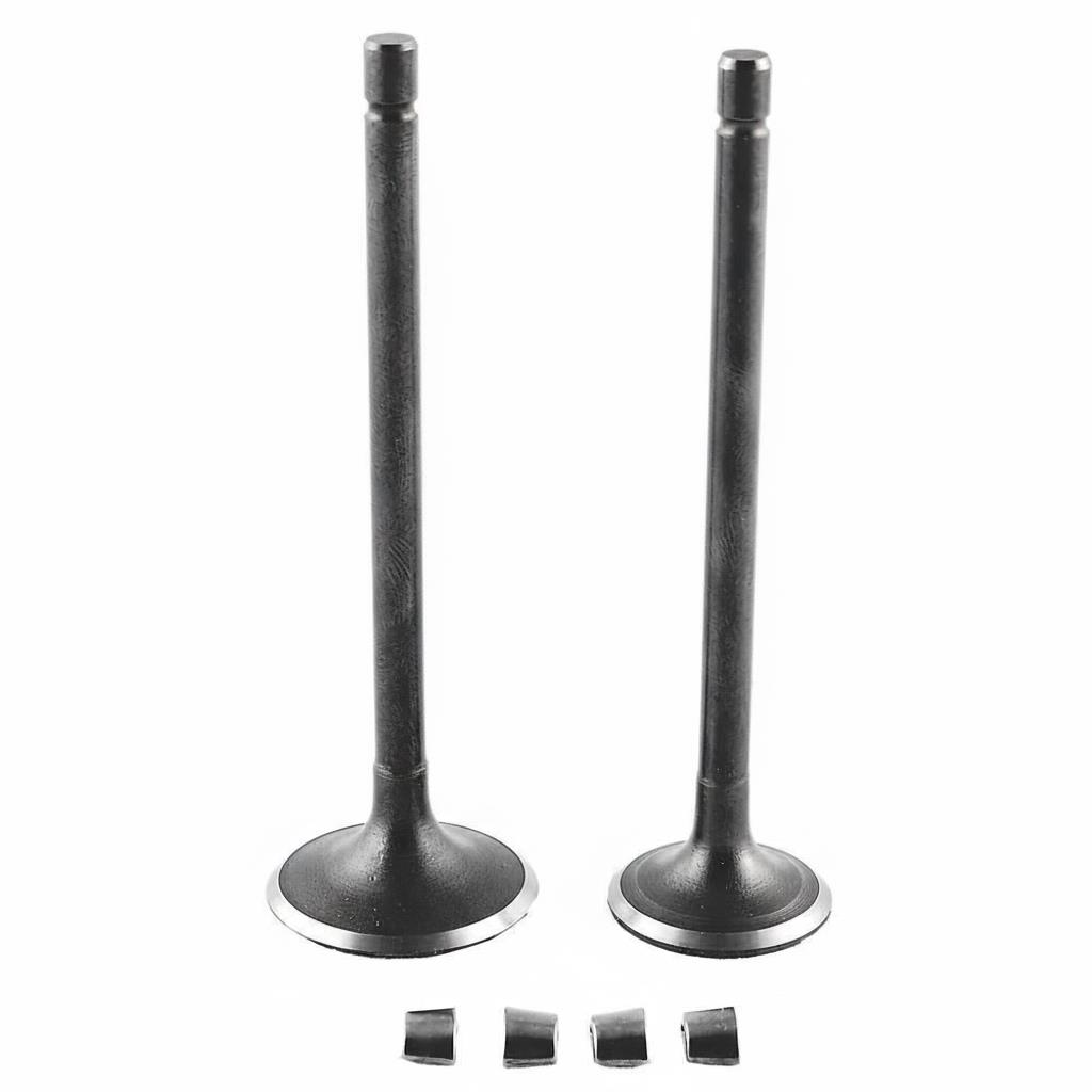 Honda Xl185 Uyumlu Sibop Vtc