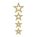 Cg Gold Yıldızlı Çamurluk Üst Sticker