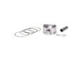 Piston 56.75 (0.25) 15P Cg 125
