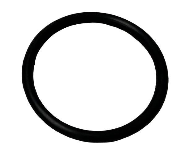 125Cg Manifold O-Ringi