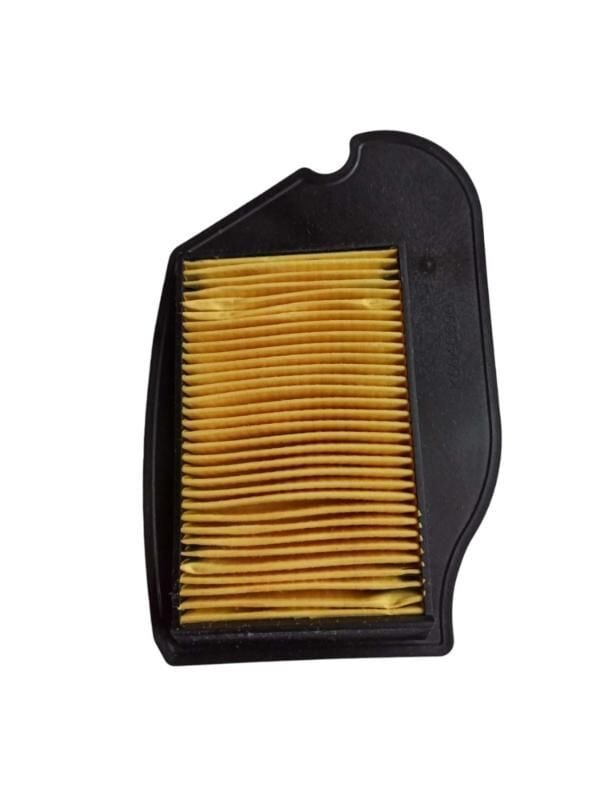 Tvs Hava Filtre Elemenı Wego/Jupıter