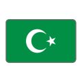 Cg Şeffaf Yeşil Bayrak Far Filmi
