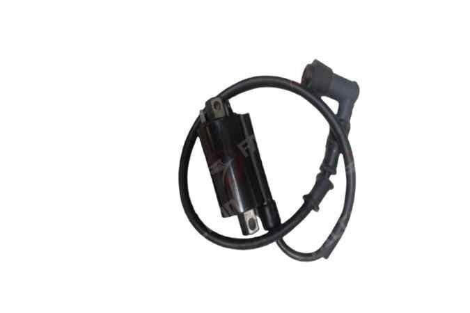 Falcon Ateşleme Bobini-Retro 110