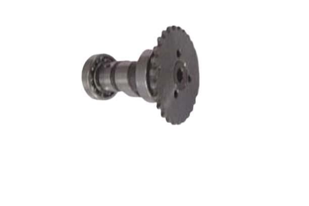 Eksantirik Kam Mili Rmz Karaca