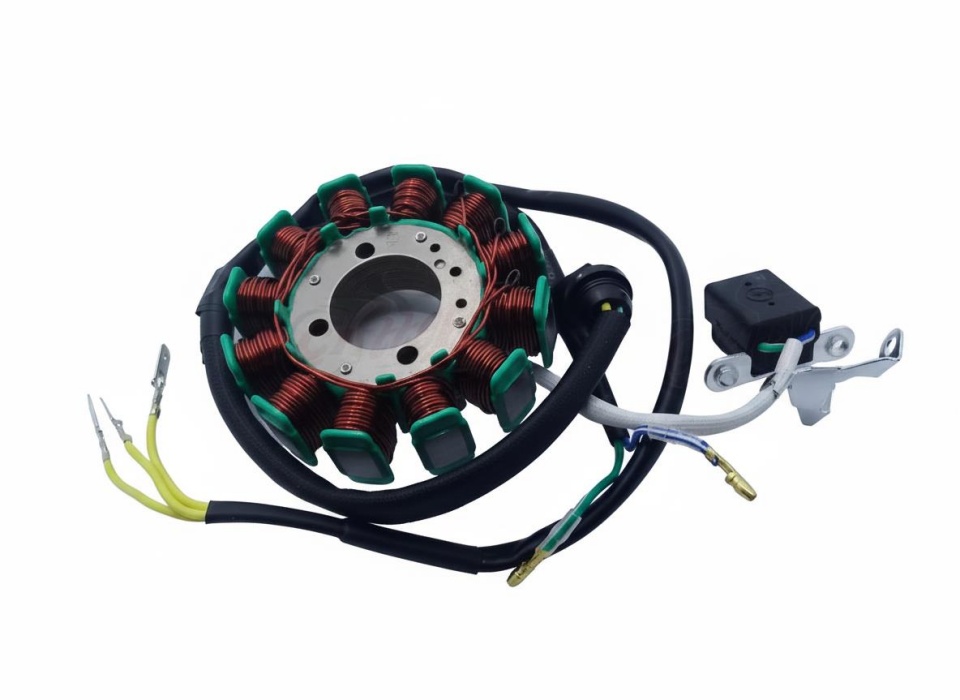 Cg 200 Statör 12 Li Bezsiz 32-93-30 Mm 3 Delik 5 Kablo