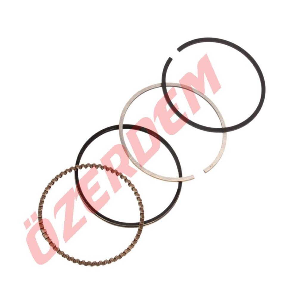 Cg Model Sekman Std 56,50 Mm