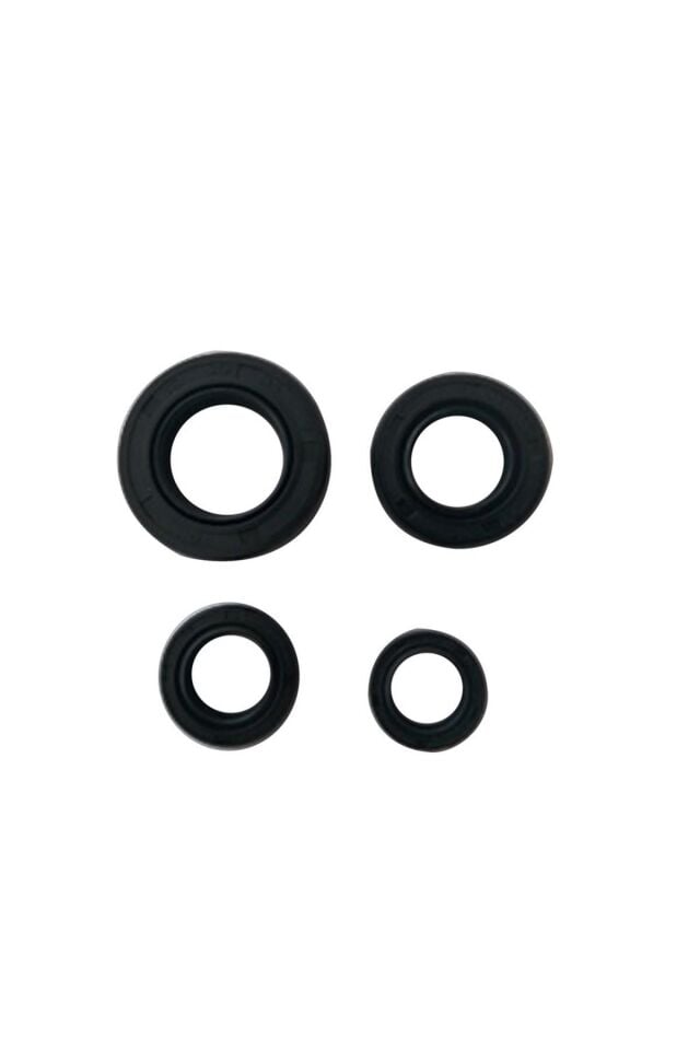 Cbf 150 Uyumlu Keçe Seti 4 Lü