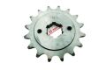 Atv Ön Dişli 520-16T İç 25 Mm 2 Delikli