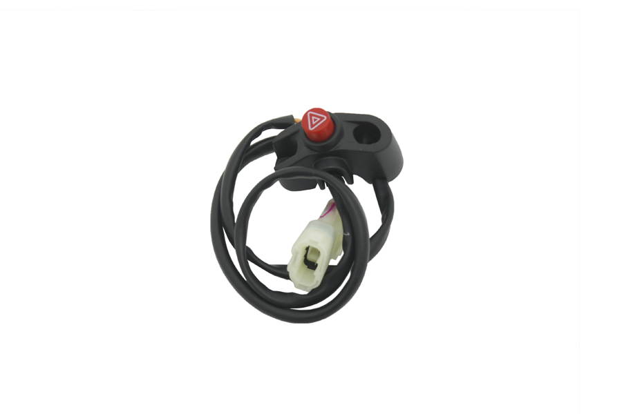 Cf Moto 650Mt Euro 4 Abs Dortlu Flasor Dugmesı Orijinal