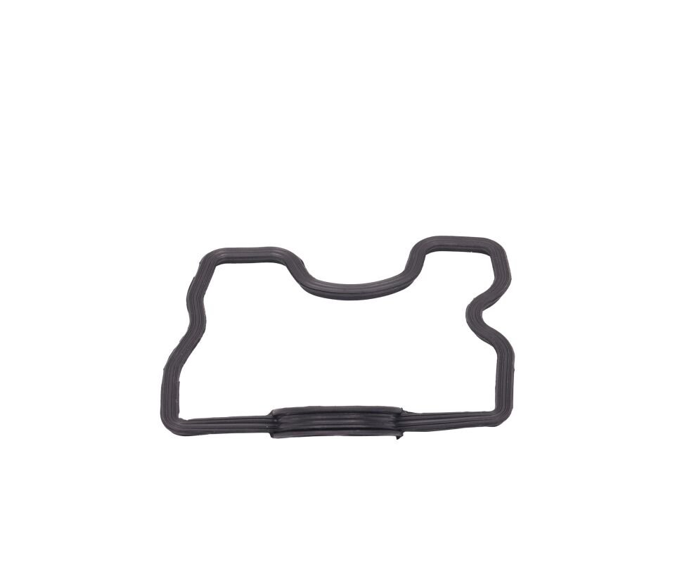 Tvs Apache Rtr 200 Kulbutor Kapak Contası E5 Orijinal