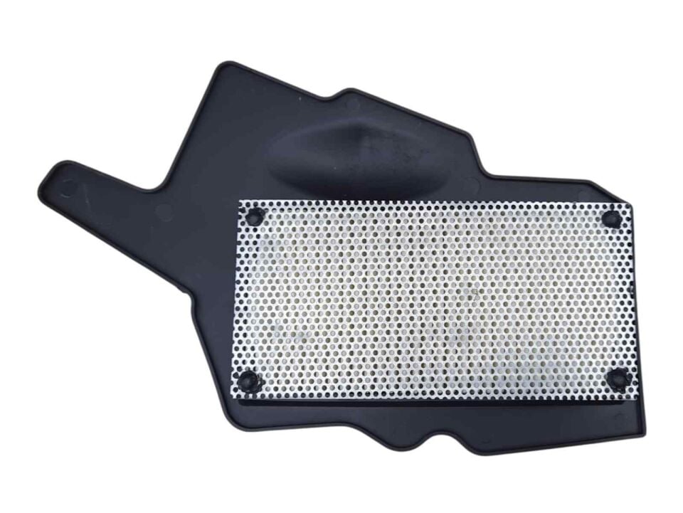 Tvs Raider 125 Hava Filtre Elemanı
