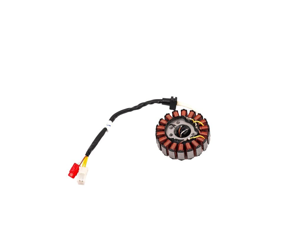 Tvs Apache Rtr 200 Stator E5 Orijinal