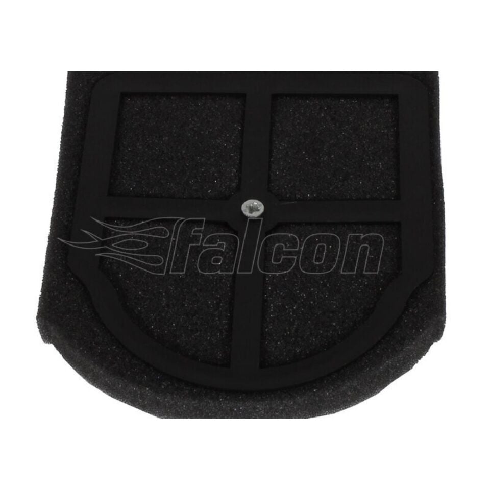 Cg Hava Filtre Elemanı (süngeri)