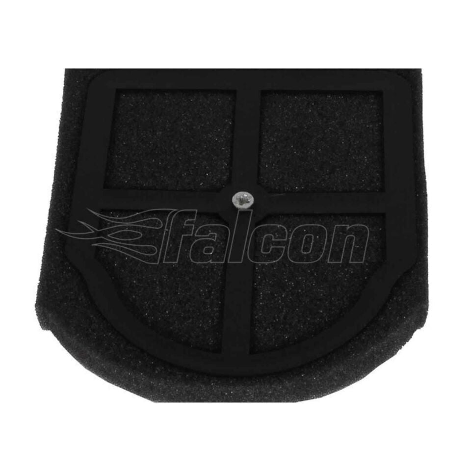 Cg Hava Filtre Elemanı (süngeri)